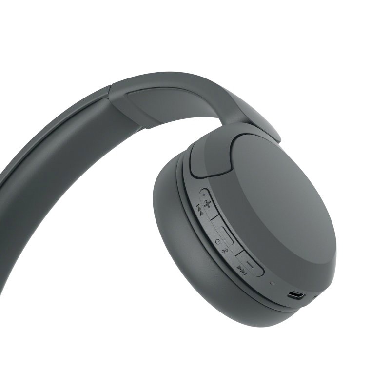 Sony WH-CH520 - Auriculares inalámbricos Bluetooth con micrófono (negro)  con estuche rígido protector para auriculares (2 artículos)